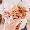 LED Pet Nail Trimmer, Small Animal Nail Care Clipper Tool, Anti-Splash Professional Pet Nail Grooming Trimmer Tool for Hamster Dog Rabbit